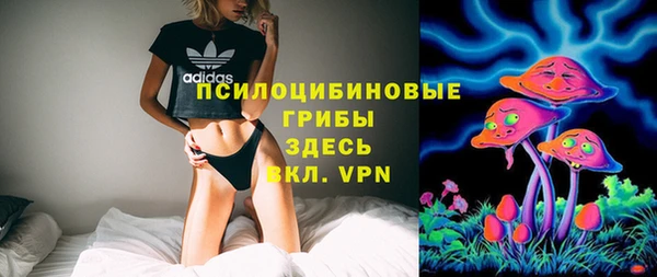 ешки Пестово